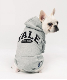 2 TONE ARCH DOGGY HOODIE GRAY