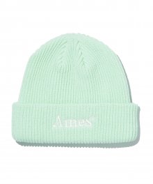 COLORED LOGO BEANIE MINT