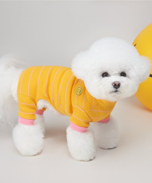 제니 스트라이프 강아지 올인원 (Yellow)
