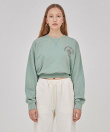 Rose Print Sweatshirt in Mint VW1WE143-31