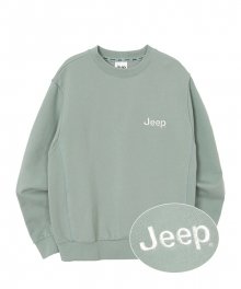 Small Logo Classic Sweat MINT  (JN1TSU802MT)