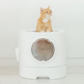 펫트리움(PETRIUM) 고양이 탑도어 화장실 서랍형