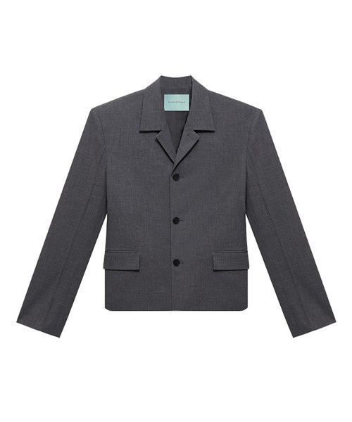 Ms single crop jacket - grey