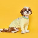 플로트(FLOT) 레인보우코지 티셔츠 레몬 강아지옷