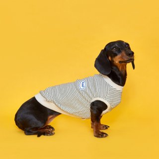 플로트(FLOT) 릴렉스보더 민소매티셔츠 아이보리 강아지옷
