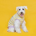 플로트(FLOT) 후르츠 민소매티셔츠 레몬 강아지옷