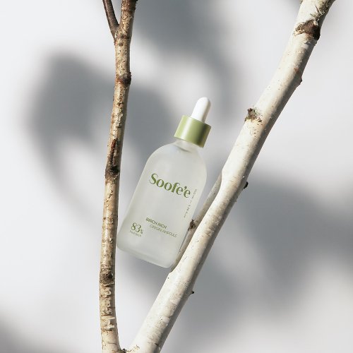 수페(SOOFEE) 버치 리치 오리진 앰플 100ml - 34,000 | 무신사 스토어