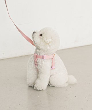 바잇미(BITEME) 강아지 산책 캔디크레용 하네스 (6 color)