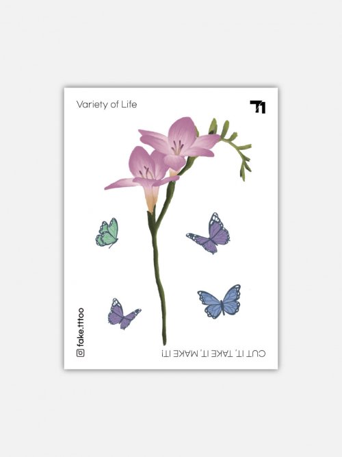 Freesia