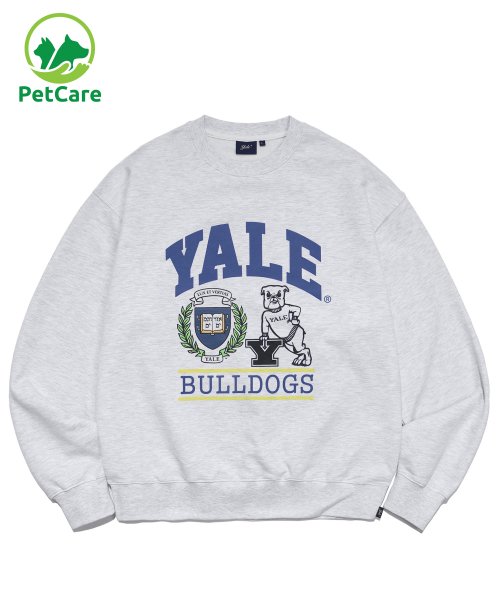 예일(YALE) 1ST AWARDS BULLDOGS CREWNECK LIGHT GRAY - 사이즈 & 후기 | 무신사