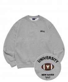 IVY LEAGUE RUGBY CREWNECK GRAY