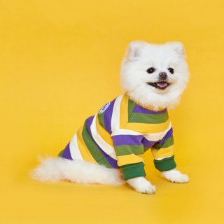플로트(FLOT) 스탠다드유니크 맨투맨 옐로우퍼플 강아지옷