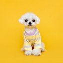 플로트(FLOT) 후르츠 티셔츠 레몬 강아지옷