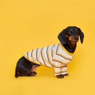 플로트(FLOT) 후르츠 티셔츠 키위베이지 강아지옷