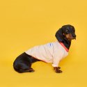플로트(FLOT) 릴렉스보더 티셔츠 피치 강아지옷