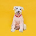 플로트(FLOT) 릴렉스보더 티셔츠 핑크 강아지옷