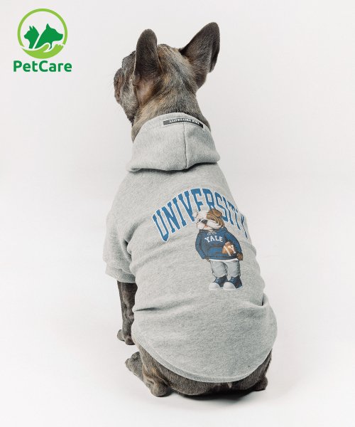 Gray 2024 dog hoodie