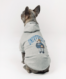 UNIVERSITY DAN DOGGY HOODIE GRAY