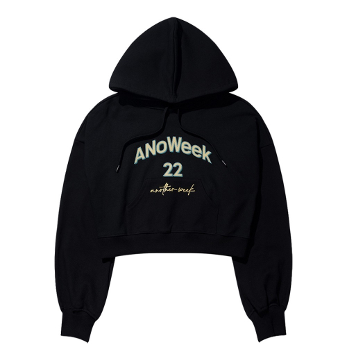 ANW EMBROIDERY CROPPED HOODIE
