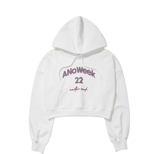 ANW EMBROIDERY CROPPED HOODIE
