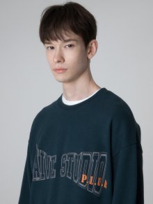 RAIVE Rogo Sweatshirt in D/Green VW2AE731-33