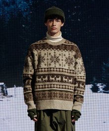 JACQUARD CREW NECK SWEATER BROWN_FN4KT08U