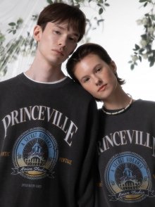 PRINCEVILLE Sweatshirt in D/Grey VW2AE337-13