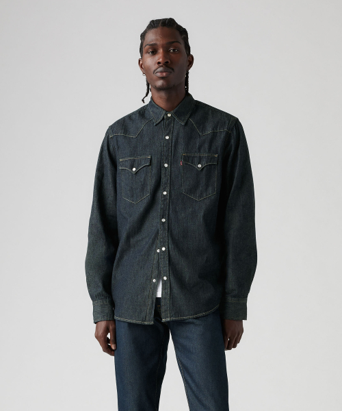 Классическая рубашка Western Standard Fit 85745-0002