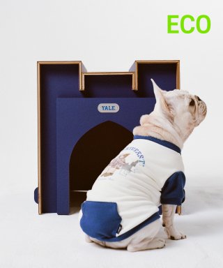 예일(YALE) [YALE x TUUK] STERING MEMORIAL LIBRARY