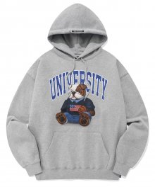 BABY UNIVERSITY DAN HOODIE GRAY