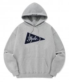 BIG FLAG LOGO HOODIE GRAY