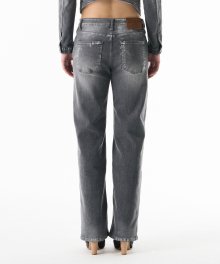 Metallic Denim Lowrise Pants Gray