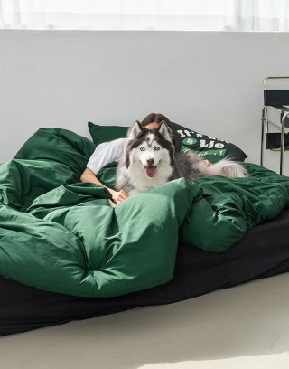 믹스앤매치(MIX&MATCH) 위드 M2 알러지케어 항균 차렵이불세트 SS/Q 그린