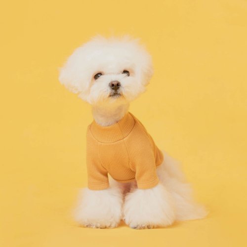 베이직 하프넥티셔츠 옐로우 강아지옷