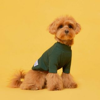플로트(FLOT) 베이직 하프넥티셔츠 그린 강아지옷