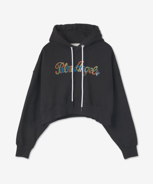 Champion rainbow deals logo hoodie