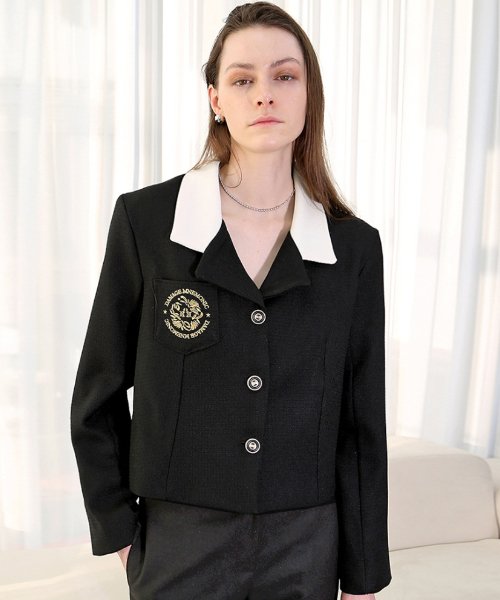 Укороченная черная куртка с вышивкой_ Embroidery Black JK
