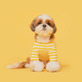 플로트(FLOT) 데일리버튼티셔츠 옐로우 강아지옷