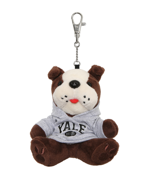 예일(yale) 유니버시티 댄 키링 그레이