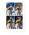 티브이오비티(TVOBT) Hiphop cat series (Credit)Card stickers