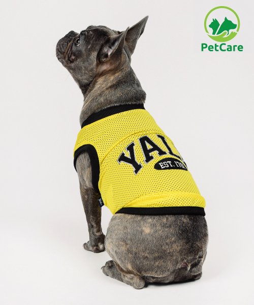 MUSINSA YALE 2 TONE ARCH MESH DOGGY SLEEVELESS YELLOW