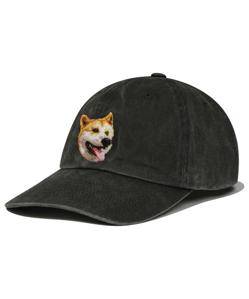 Shiba cap 2024