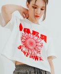 아이얼(IAER) 와이드 크롭 선플라워 반소매 티셔츠-화이트