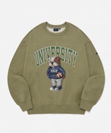 (24SS) UNIVERSITY DAN SWEATSHIRT HEATHER GREEN