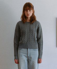 COLOR LINE CABLE KNIT GRAY