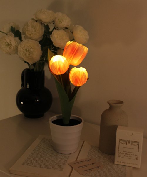 비아케이스튜디오 후르츠 튤립팟 LED 무드등_3 color