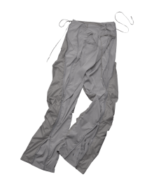 Dualize Zipper Control Pants / Grey