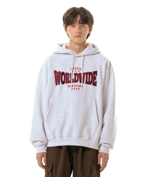 Grey discount worldwide hoodie