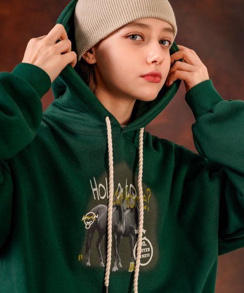 Худи Hoarse Mountain Green JYHD3529