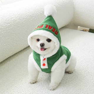 리얼펫(REALPET) 강아지 애견 산타옷 크리스마스데이 (그린)